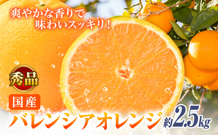【秀品】※先行予約※希少な国産バレンシアオレンジ 約2.5kg 株式会社 魚鶴商店《2026年6月下旬頃～7月上旬頃出荷》和歌山県 日高川町 オレンジ 柑橘 フルーツ 果物　みかん　かんきつ　---wshg_uot142_6g7j_25_10000_2500g---