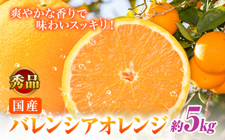 【秀品】※先行予約※希少な国産バレンシアオレンジ 約5kg 株式会社 魚鶴商店《2026年6月下旬頃～7月上旬頃出荷》和歌山県 日高川町 オレンジ 柑橘 フルーツ 果物---wshg_uot143_6g7j_25_16000_5kg---