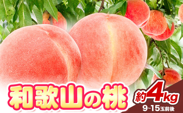 和歌山の桃秀選品約4kg(9～15玉入り)1箱厳選館《2024年6月末-8月下旬出荷》果物フルーツ桃もも---wshg_cgenmm_dk68_22_27000_4kg---｜桃あかつき桃白鳳桃日川白鳳桃八旗白鳳桃桃清水白桃桃川中島白桃つきあかり桃和歌山の桃白桃桃