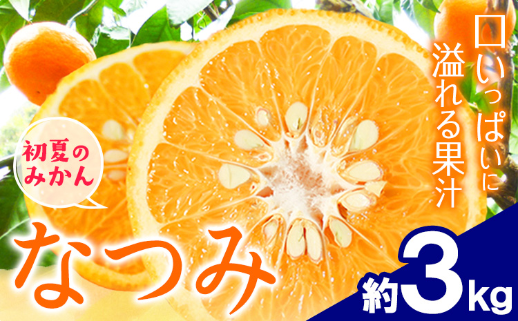 ＜先行予約＞初夏のみかん なつみ 約 3kg 株式会社 魚鶴商店《2026年4中旬-4月下旬頃出荷》 和歌山県 日高川町 みかん なつみ 南津海 柑橘 果物 フルーツ 送料無料---wshg_uot133_4c4g_25_11000_3kg---