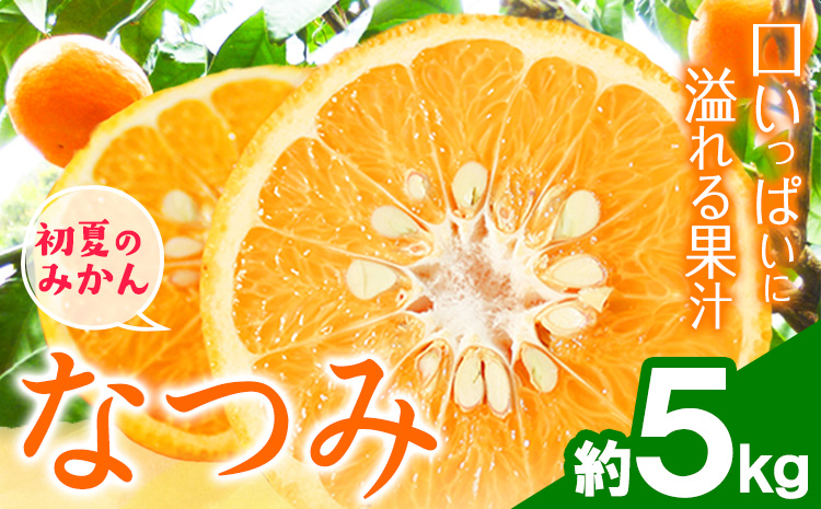 ＜先行予約＞初夏のみかん なつみ 約 5kg 株式会社 魚鶴商店《2026年4中旬-4月下旬頃出荷》 和歌山県 日高川町 みかん なつみ 南津海 柑橘 果物 フルーツ 送料無料---wshg_uot134_4c4g_25_14000_5kg---