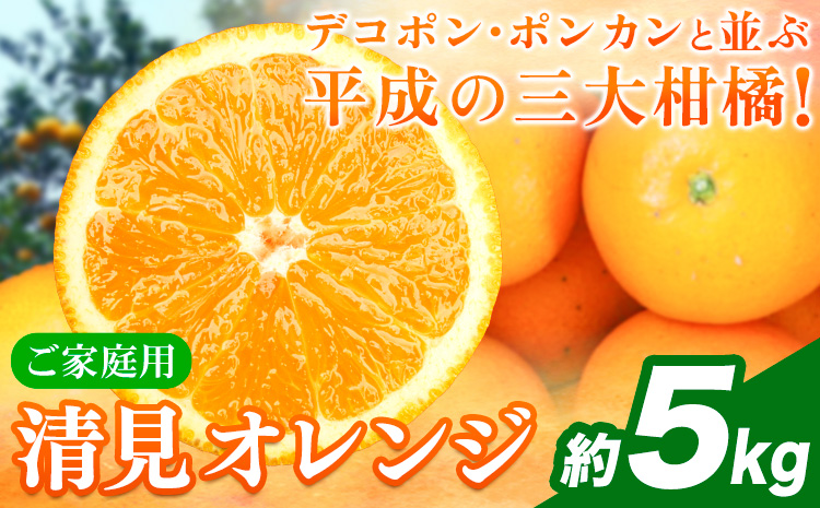 【ご家庭用訳アリ】 紀州有田産清見オレンジ 約5kg 株式会社魚鶴商店《2026年3月下旬-4月中旬頃出荷》 和歌山県 日高川町 オレンジ 柑橘 ご家庭用 フルーツ---wshg_uot131_3g4c_25_11000_5kg---