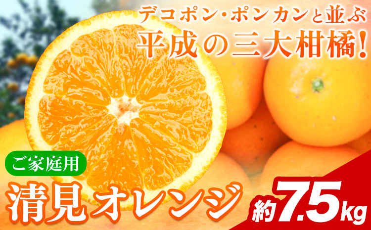 【ご家庭用訳アリ】 紀州有田産清見オレンジ 約7.5kg 株式会社魚鶴商店《2026年3月下旬-4月中旬頃出荷》 和歌山県 日高川町 オレンジ 柑橘 ご家庭用 フルーツ---wshg_uot132_3g4c_25_16000_7500g---