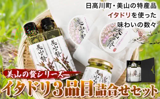 ～美山の贅シリーズ～イタドリ３品詰め合わせ日高川町生活研究グループ美山支部《30日以内に出荷予定(土日祝除く)》ジャムドレッシング---wshg_hsk7_30d_24_14000_3i---