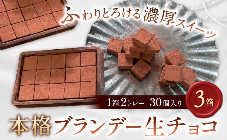 生チョコ 本格ブランデー生チョコ 3箱 1箱30個入り 株式会社たにぐち[2月上旬-2月中旬頃出荷]和歌山県 日高川町 スイーツ デザート チョコレート 生チョコレート お菓子 チョコ 送料無料 ブランデー---wshg_ctng7_2j2c_24_13000_6t---