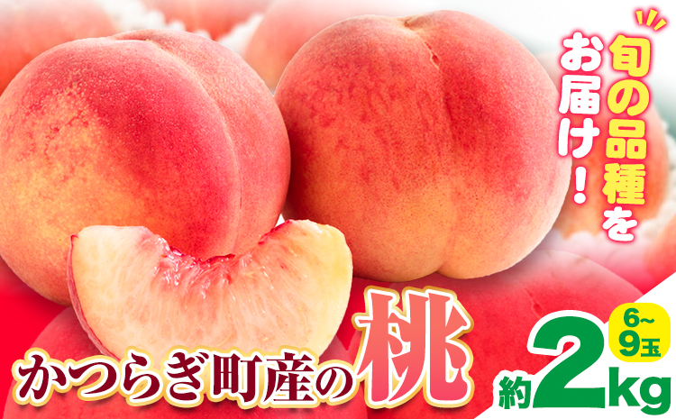 [先行予約]桃 かつらぎ町産 約 2kg 紀農人株式会社[2025年6月上旬-8月中旬頃出荷] 和歌山県 日高川町 果物 フルーツ 桃 もも モモ 旬---wshg_ckgr5_a68_23_15000_2kg---