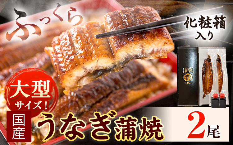 大型サイズ ふっくら柔らか国産 うなぎ 蒲焼き 2尾 化粧箱入(真空パック入) 株式会社魚鶴[30日以内に出荷予定(土日祝除く)] 和歌山県 日高川町 うなぎ 鰻 ギフト 贈り物---wshg_fuot2_30d_24_21000_2b---