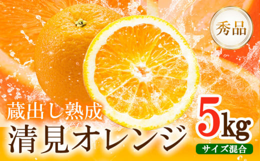 熟成清見オレンジ秀品5kgどの坂果樹園[3月上旬-5月中旬頃出荷]清見オレンジ旬柑橘フルーツ果物オレンジ熟成---wshg_dsk12_a35_23_10000_5kg---