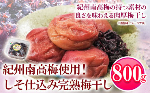 紀州南高梅使用しそ仕込み完熟梅干し800g厳選館[90日以内に出荷予定(土日祝除く)]紀州南高梅梅干ししそ仕込み---wshg_genskume_90d_22_13000_800g---