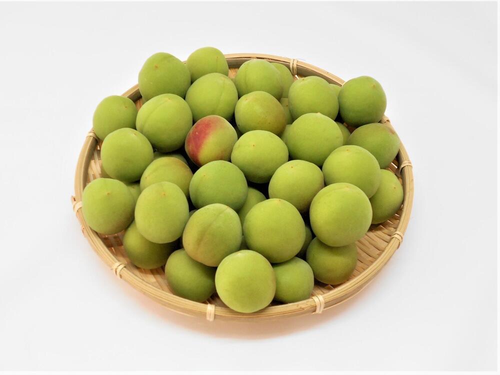 ［梅酒・梅ジュース用］紀州南高梅２ｋｇ（３Ｌサイズ）