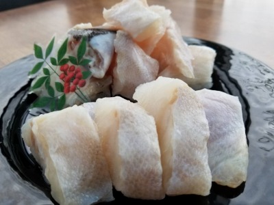 幻の魚　本クエ鍋用　紀州和歌山　500g