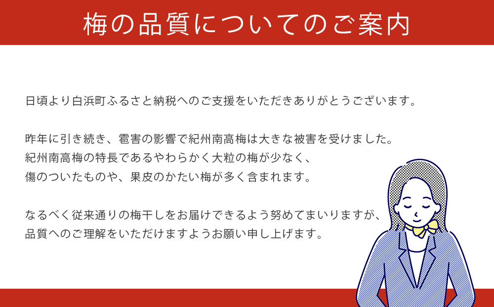 ※好評につき、25年11月以降発送※紀州南高梅《つぶれ梅セット》しそ漬け梅 塩分8% 1.8kg (300g×6）