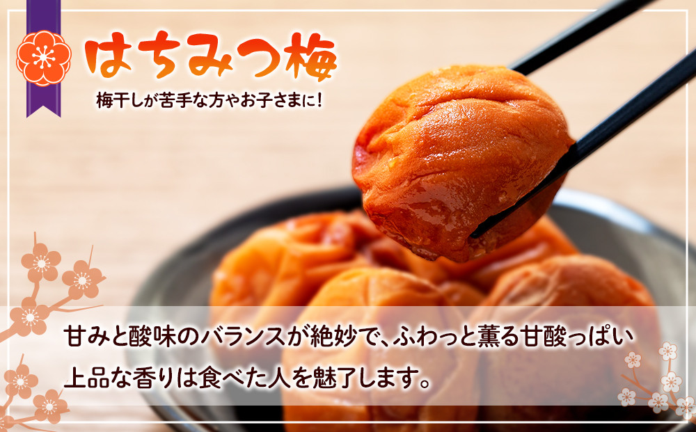 訳あり つぶれ 梅干し  500g×6パック 合計3kg はちみつ 塩分 約5％［TR1w］