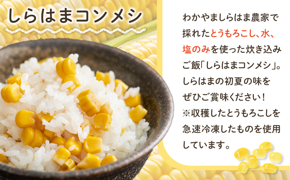 しらはまコンメシ 4袋 セット わかやましらはま農家 特製 炊き込みご飯の素