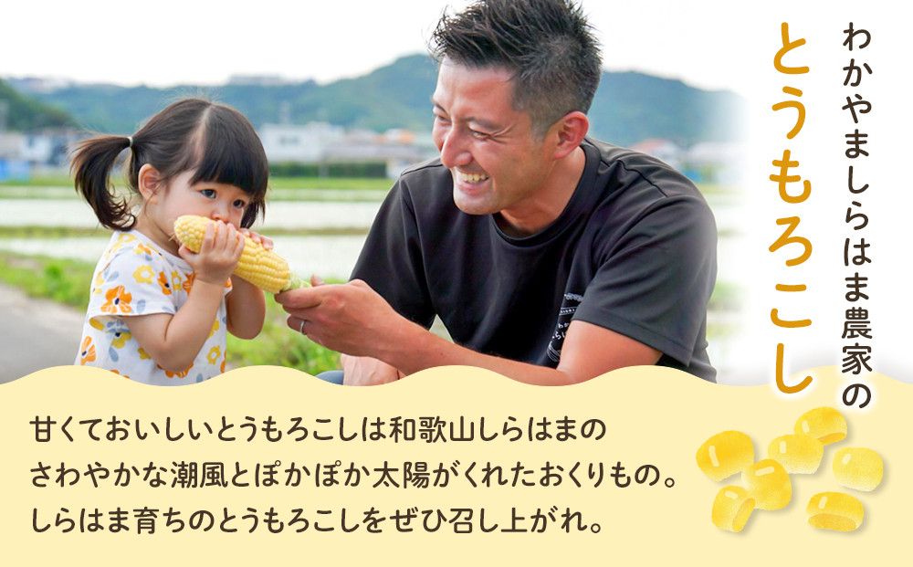 ［先行予約］しらはま農家 とうもろこし Lサイズ24本 ［2026年6月発送予定］