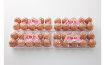 高級有精卵 40個