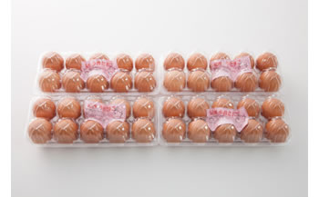 紀州うめ卵 40個　