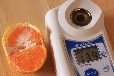 みかん 10kg MS玉 紀南の甘い極早生みかん 高糖度 10月以降発送 マルチ被覆栽培