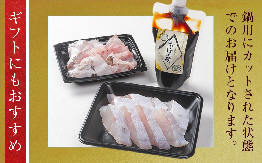 近大クエ鍋セット ( 500g ）こだわりだしぽん酢付き【2026年1月下旬～2月上旬発送】