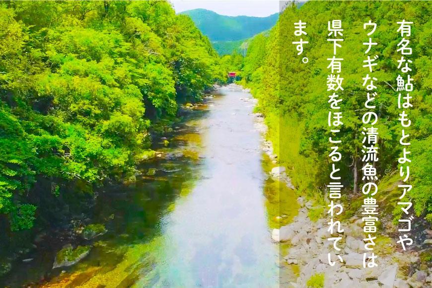 2026年度 日置川アマゴ遊漁券（一年券）