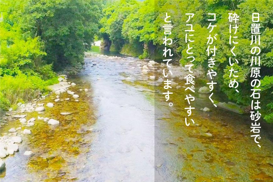 2026年度 日置川アユ遊漁券（一年券）