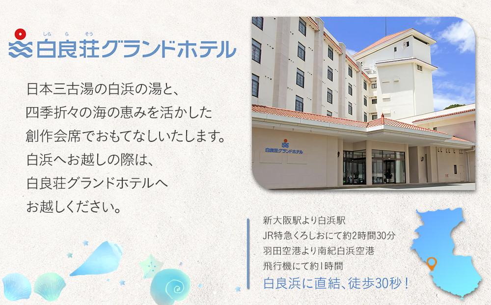 白良荘グランドホテル 白良鍋スープ  750g （3～4人前） ストレートタイプ 2袋