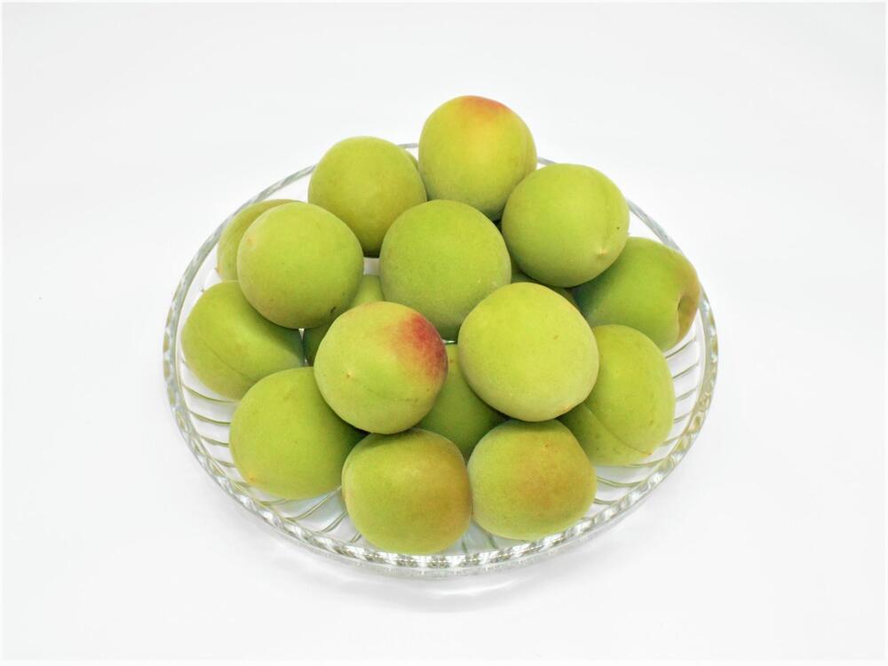 ［梅酒・梅ジュース用］紀州南高梅２ｋｇ（３Ｌサイズ）