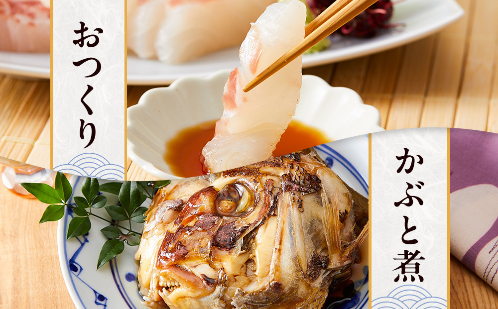 白浜天鯛完食 【先行予約 2026年3月初旬～5月中旬に順次配送】