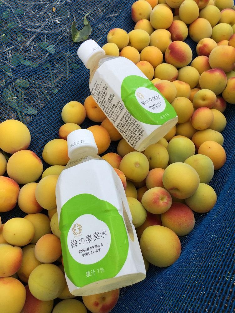 梅の果実水　350ｍｌ　24本 【受注後10日以内に発送します。但し、年末年始・お盆等・ＧＷは除きます。】