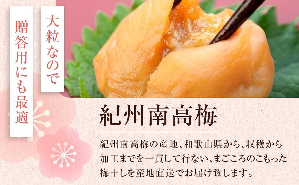 まごころ梅 はちみつ味 5Lサイズ 380g 個包装