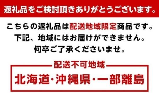 【先行予約】ヘラクレスオオカブト幼虫ペア ※育て方の説明書付き※配送不可地域あり【2026年6月から順次発送】
