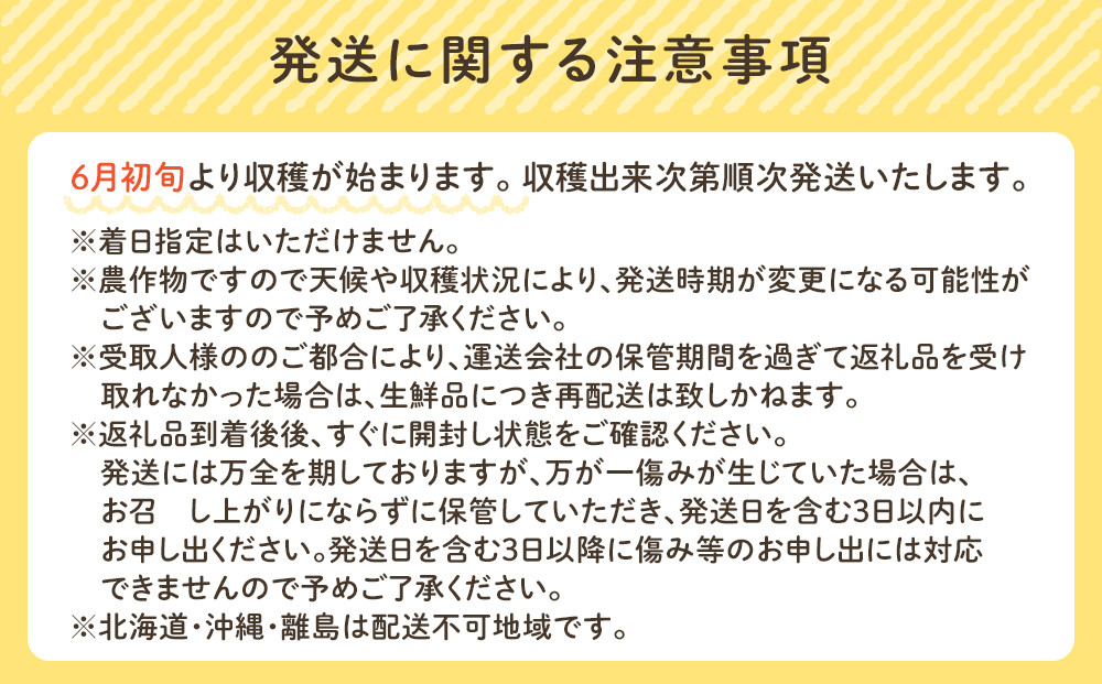 ［先行予約］しらはま農家 とうもろこし Lサイズ24本 ［2026年6月発送予定］