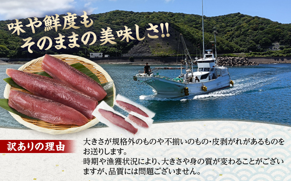 かつお一本釣り漁師が直送！ 日帰り生かつお 訳あり 500g入