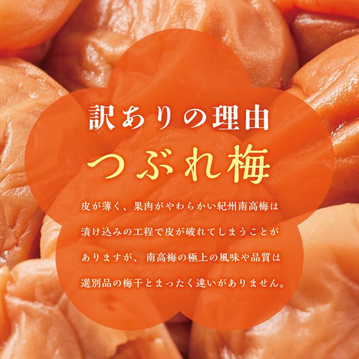 【定期便4回 2ヶ月に1回】紀州南高梅 訳あり はちみつ梅 塩分5％ 1.2kg（300g×4パック）
