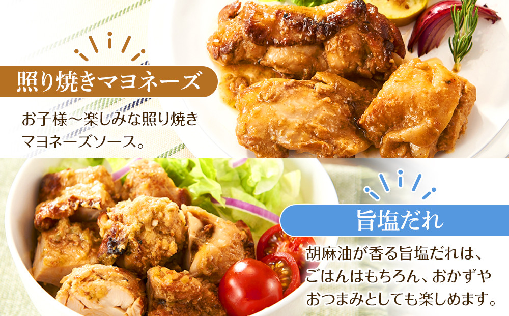 お試し 本場のケバブ チキンステーキ 170g×3食セット 肉料理 鶏肉 温めるだけ 惣菜 お手軽 簡単 ギフト 贈り物　