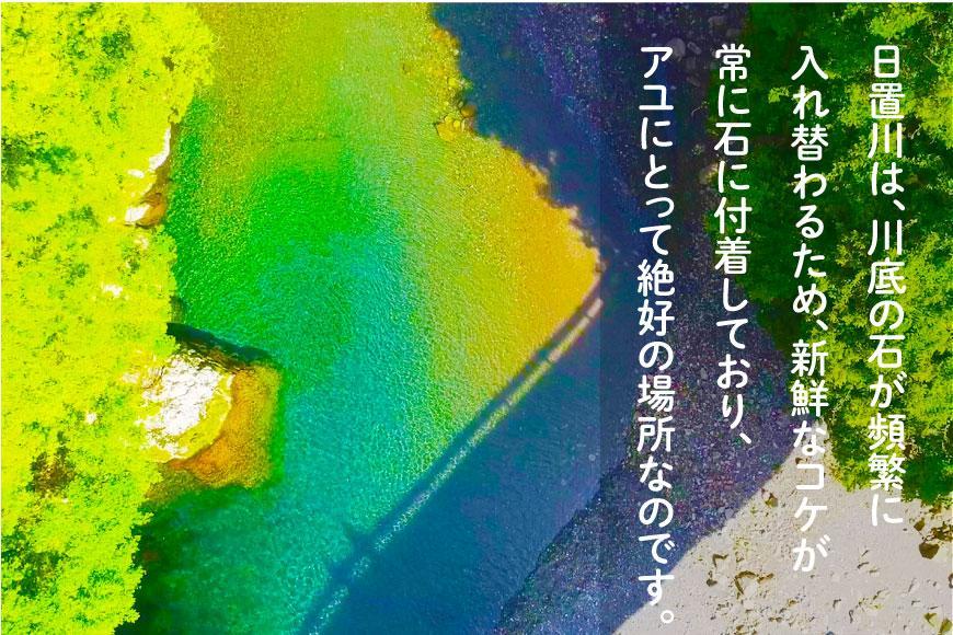 2026年度 日置川アユ遊漁券（一年券）