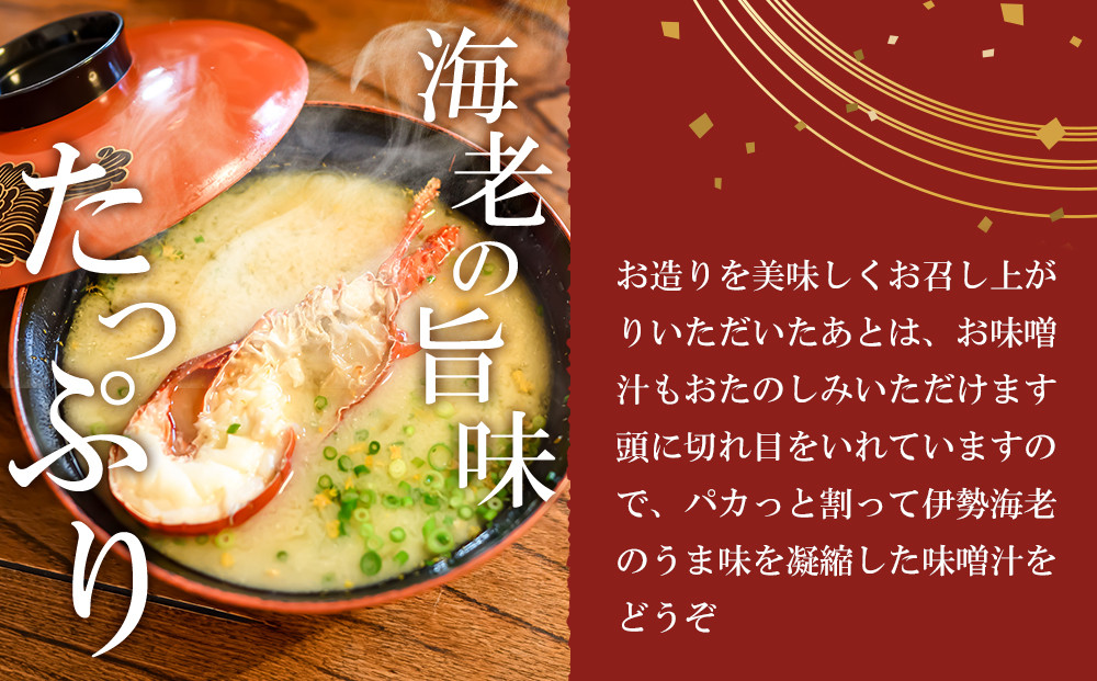 【年末配送】CAS凍結 伊勢海老 姿造り 500g ～ 600g 約2人前