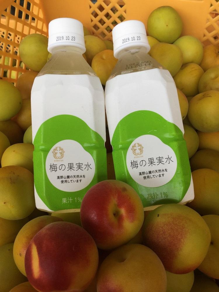 梅の果実水　350ｍｌ　24本 【受注後10日以内に発送します。但し、年末年始・お盆等・ＧＷは除きます。】