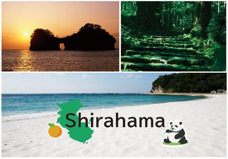 紀州南高梅　口熊野（かつお）1kg 塩分約8％