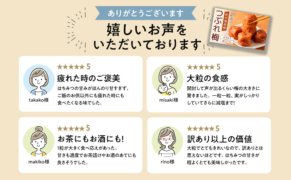 紀州南高梅 塩分約2.7% 大粒 訳ありつぶれ梅 はちみつ梅 400g×2個 800g 減塩梅干し 紀州梅本舗【大粒 つぶれ梅 南高梅 ワケあり 梅干し お漬物 和歌山県 白浜町】