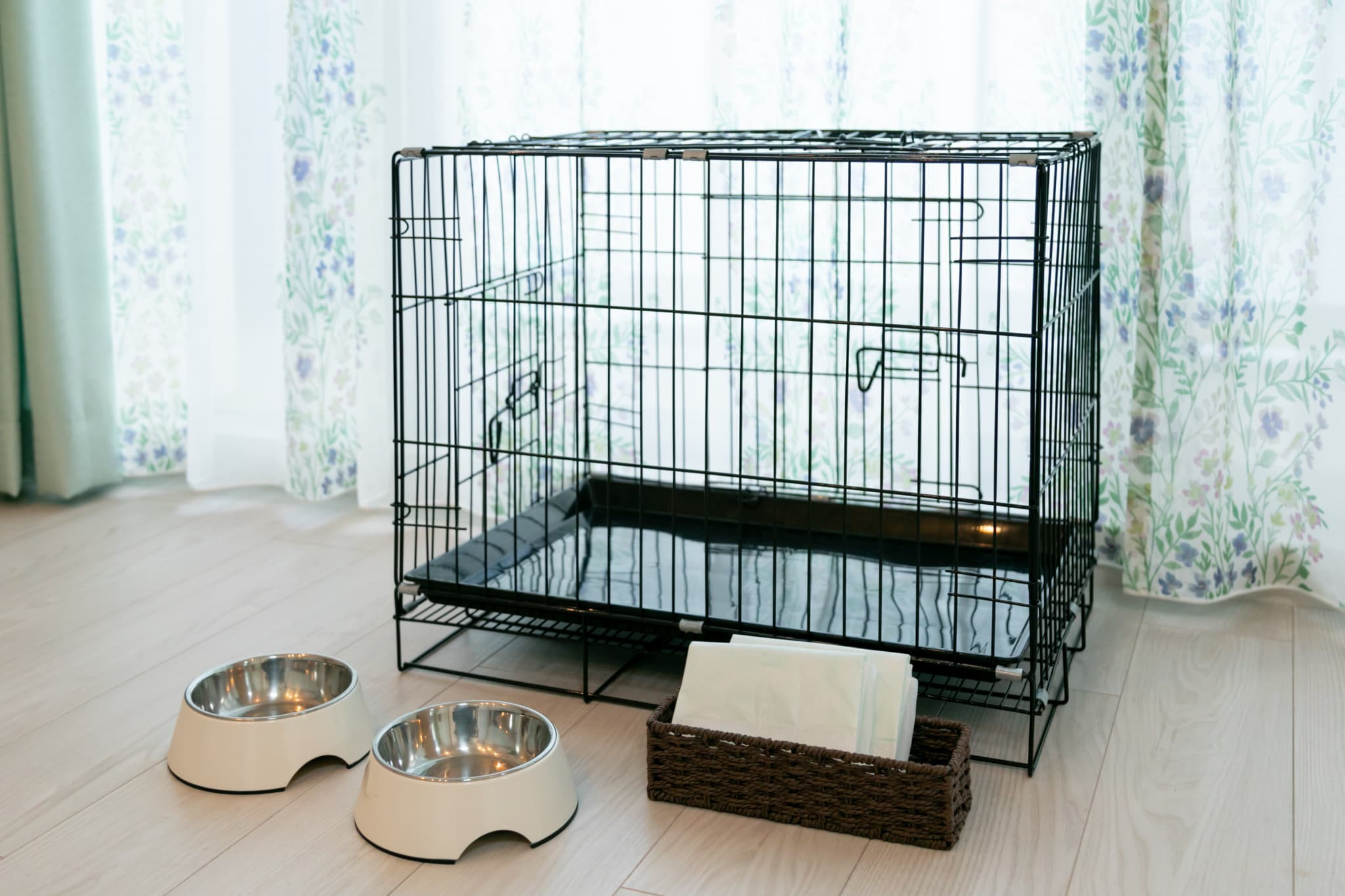 【クリスタルエグゼ南紀白浜2】スーパービューフロア/犬部屋（ペア宿泊券）（1泊素泊まり）