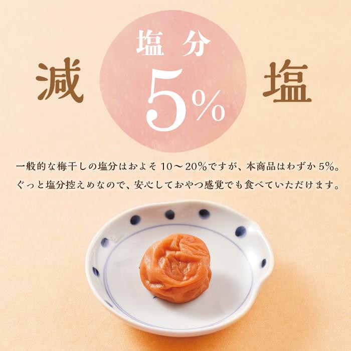 【定期便4回 2ヶ月に1回】紀州南高梅 訳あり はちみつ梅 塩分5％ 1.2kg（300g×4パック）