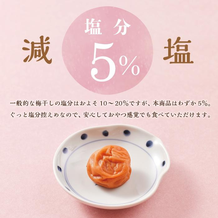 【定期便2回 2ヶ月に1回】 紀州南高梅 訳あり はちみつ梅 塩分5％ 2.4kg（300g×8パック)
