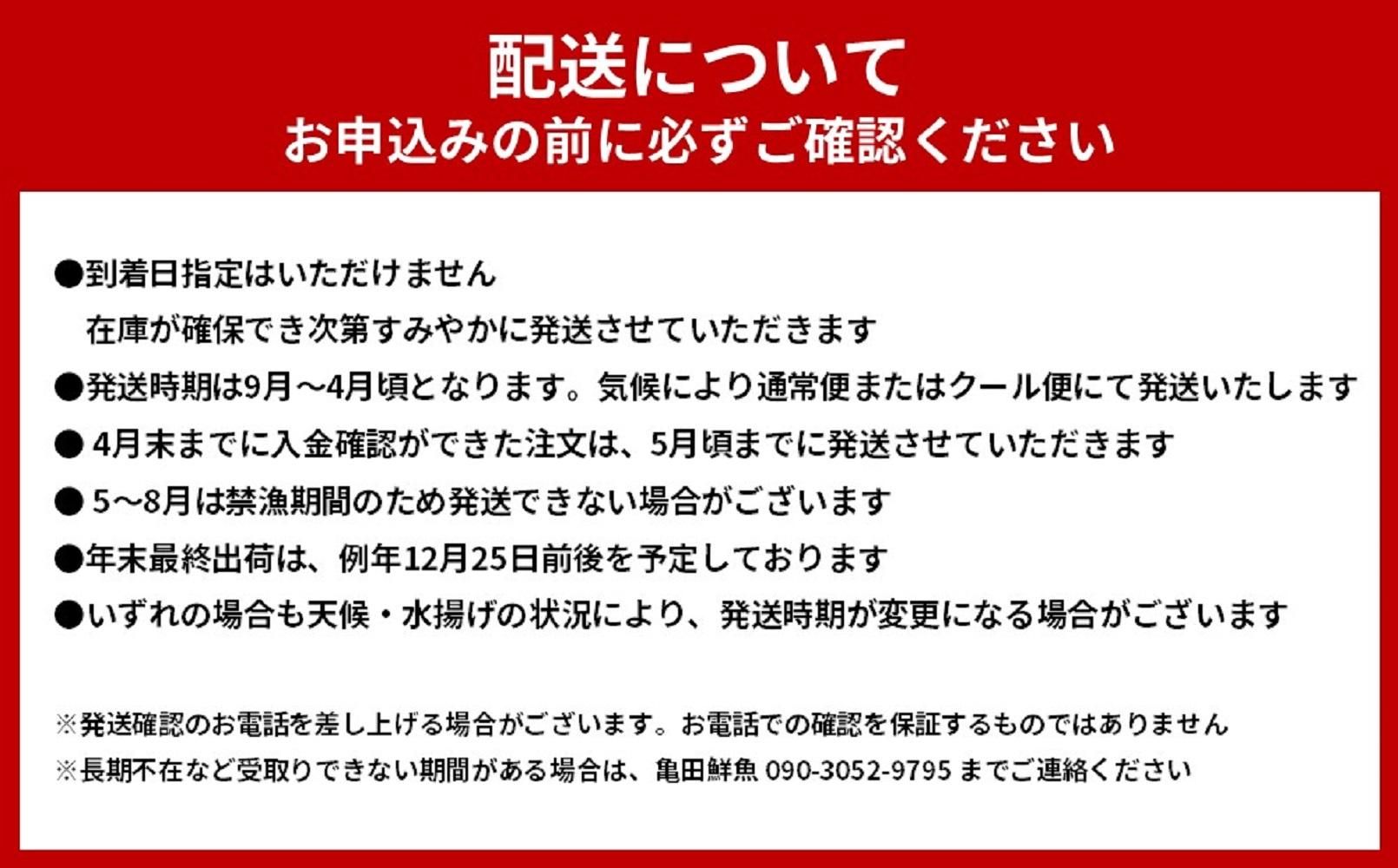 活 伊勢海老 2尾 ～ 8尾 合計 約 900g ～ 1.1kg セット 産地直送 船長ジュニア りん君おススメ
