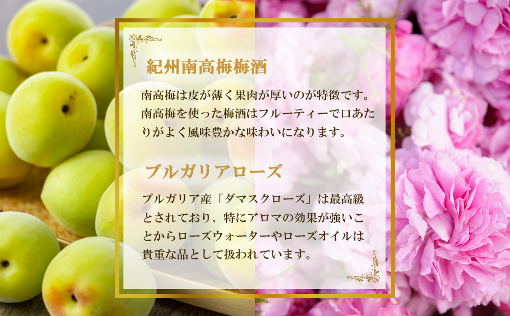 バラ梅酒スパークリング梅酒720ｍｌ