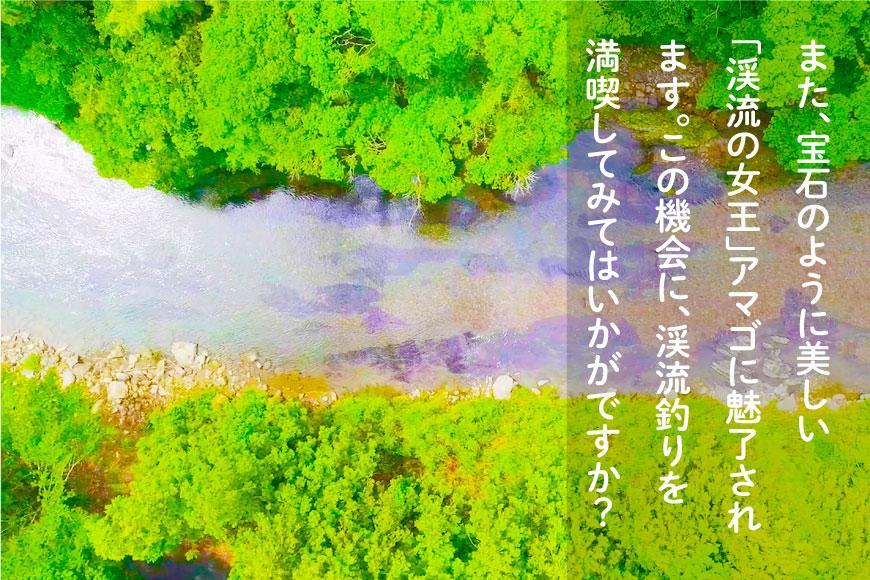 2026年度 日置川アマゴ遊漁券（一年券）