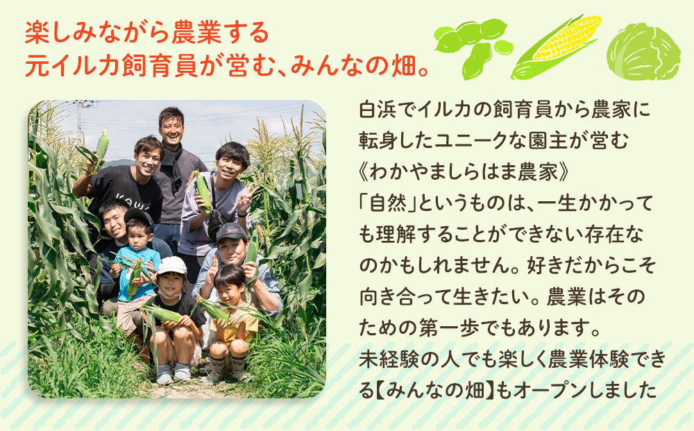 しらはまソラポタ 6袋 セットわかやましらはま農家 特製 ポタージュスープ