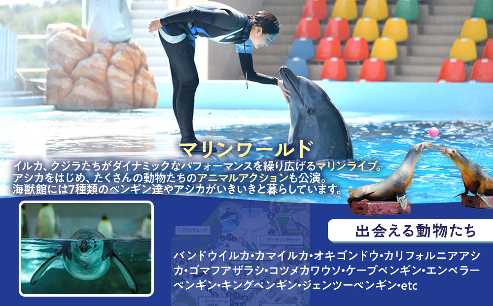 白浜町ふるさと納税 アドベンチャーワールド入園引換券 子どもチケット（18歳未満） 1枚