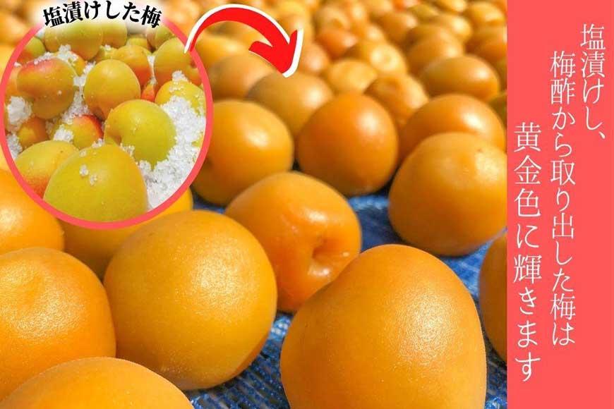 しそ漬け梅　特選　(400ｇ）紀州南高梅【梅農家手づくり梅干】