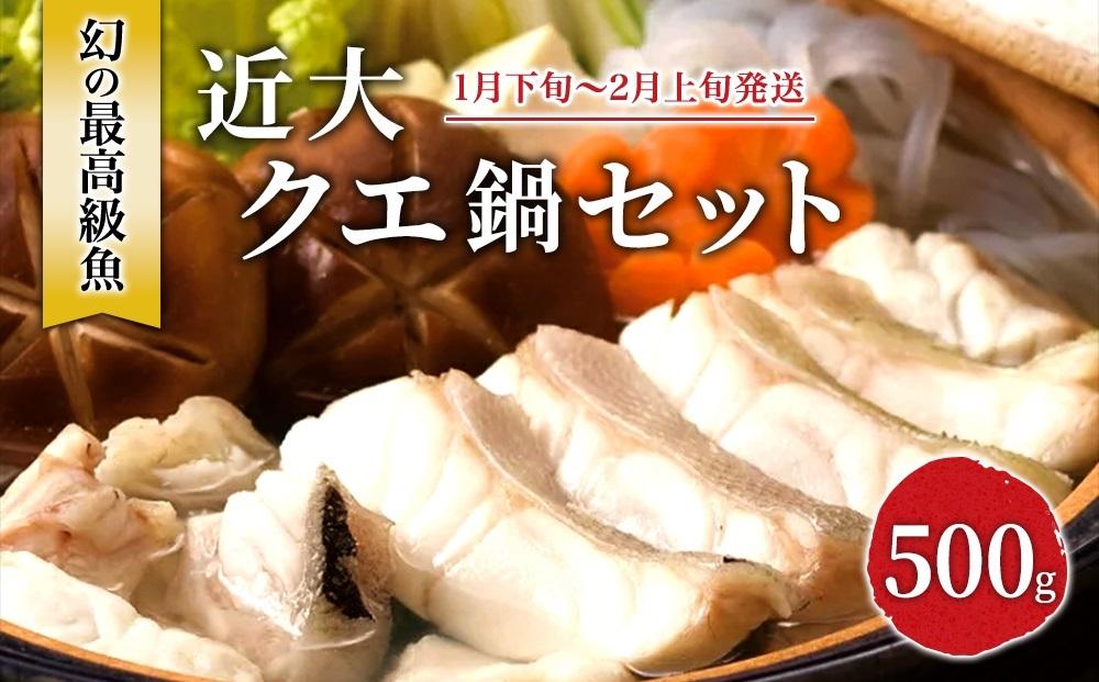 近大クエ鍋セット ( 500g ）こだわりだしぽん酢付き【2026年1月下旬～2月上旬発送】
